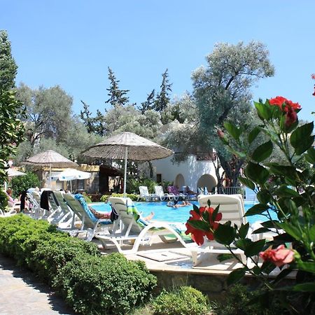 Toloman Bitezpark Apartments Bodrum Ngoại thất bức ảnh