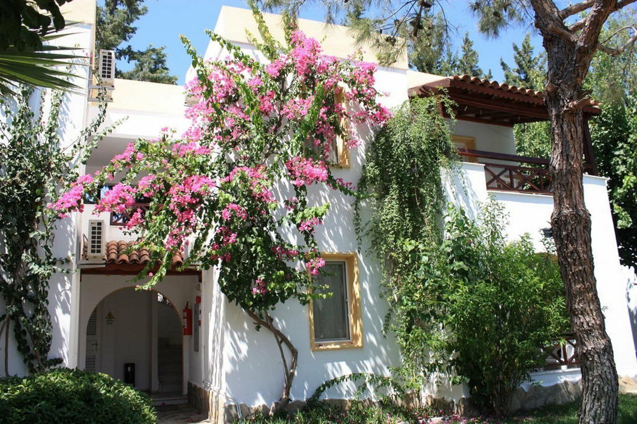 Toloman Bitezpark Apartments Bodrum Ngoại thất bức ảnh